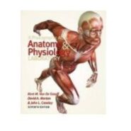 دانلود فایل pdf آناتومی تصویری بدن انسان تصاویر آناتومی عملی همراه با علامت گذاری مناسب همه دانشجویان و فارغ التحصلان رشته های مختلف علوم پزشکی کشور