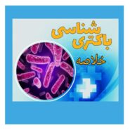 خلاصه باکتری شناسی پزشکی